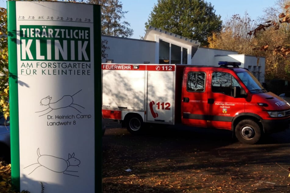 In einer Tierärztlichen Klinik wurde die Hündin behandelt.