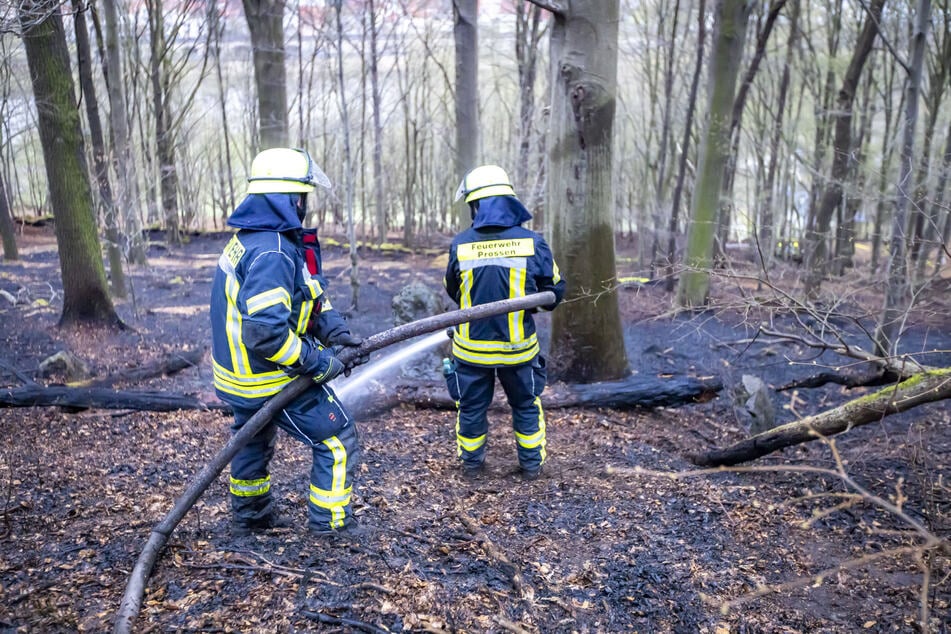 Rund 1,5 Hektar Waldgebiet wurden beschädigt.