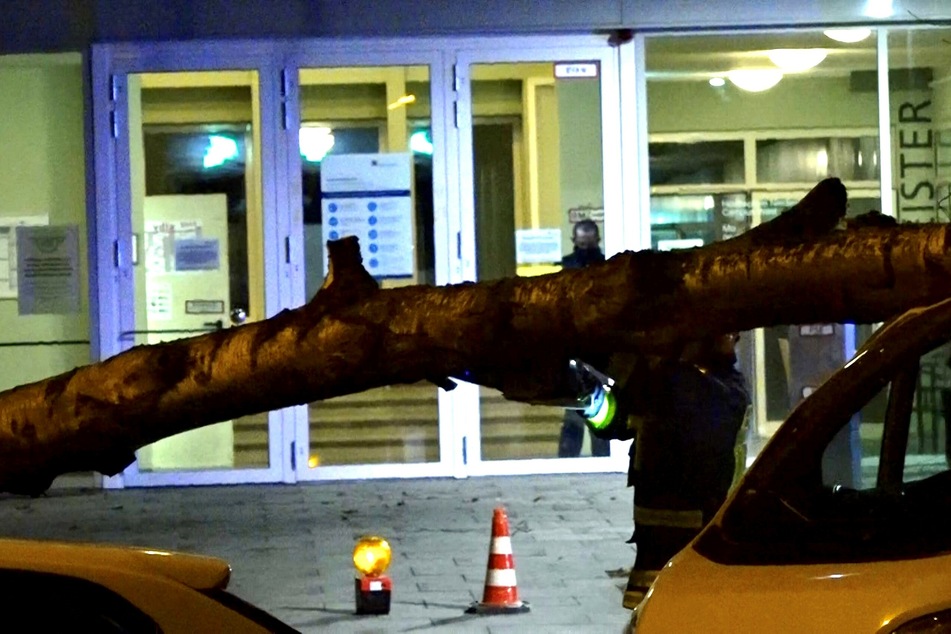 Feuerwehrleute räumen einen umgestürzten Baum weg.