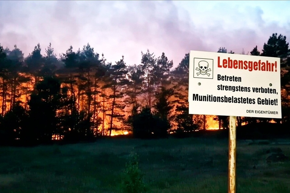 Bedrohung Waldbrand: Wenn der Wald zum Inferno wird