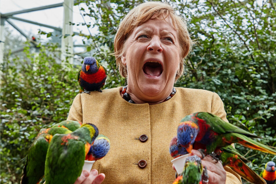 Angela Merkel sagt "Tschüss": So schmerzhaft war ihr Abschied vom Wahlkreis