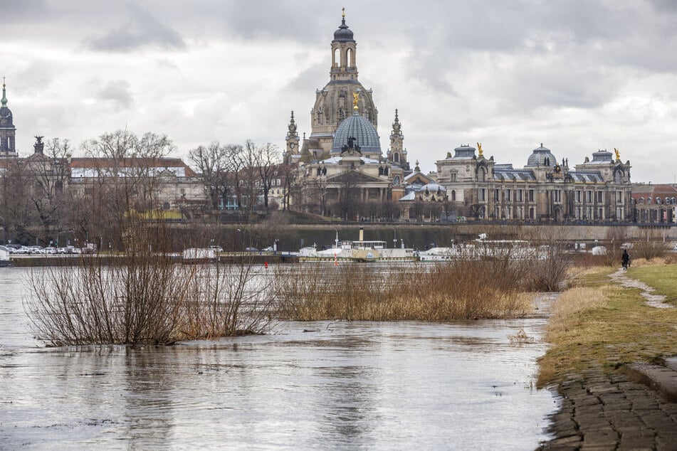 Die Elbe führt derzeit deutlich mehr Wasser als üblich.
