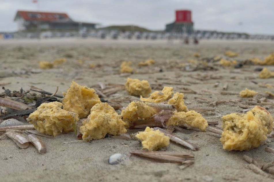 Immer wieder werden an Inselstränden einzelne gelbe, wachsartige Klumpen angespült.