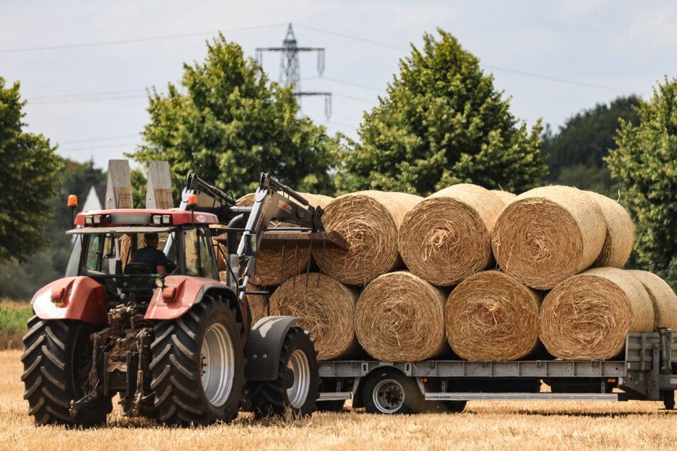 Landwirte haben vielerorts ein schweres Leben. (Symbolbild)