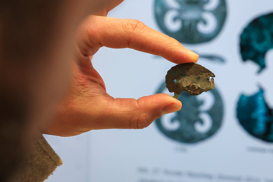 Erstmalig! Archäologen machen spannende Entdeckung in Sachsen-Anhalt