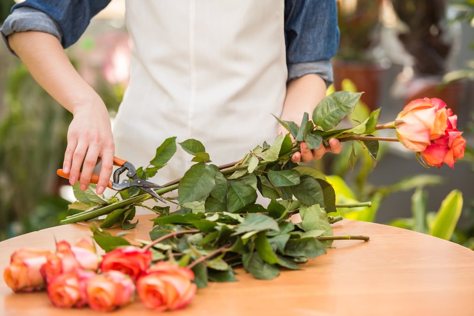 Die Staatskanzlei Staatskanzlei Düsseldorf sucht einen neuen Floristen, der sich unter anderem um die Blumen im Büro von Armin Laschet (59, CDU) kümmert (Symbolbild).