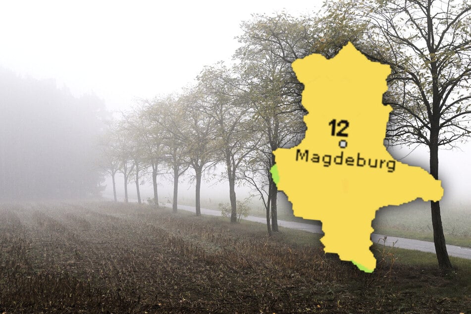 Nebel und Regen machen sich in Sachsen-Anhalt breit. (Symbolbild)