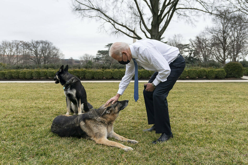 President Joe Biden loves his dogs, but one of them is making trouble in the White House.