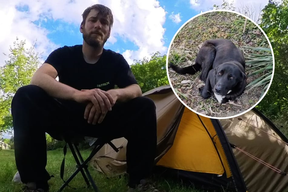 Patrick Keller hielt sein Versprechen und kehrte zu dem Hund zurück.