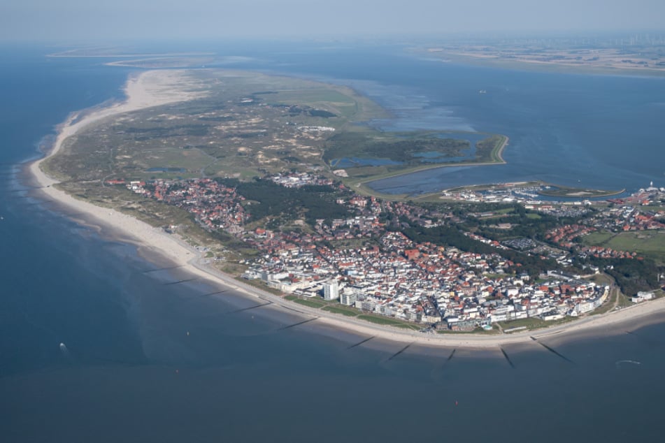 Am Strand der Insel Norderney ist ein verendeter Schweinswal angespült worden. (Archivfoto)