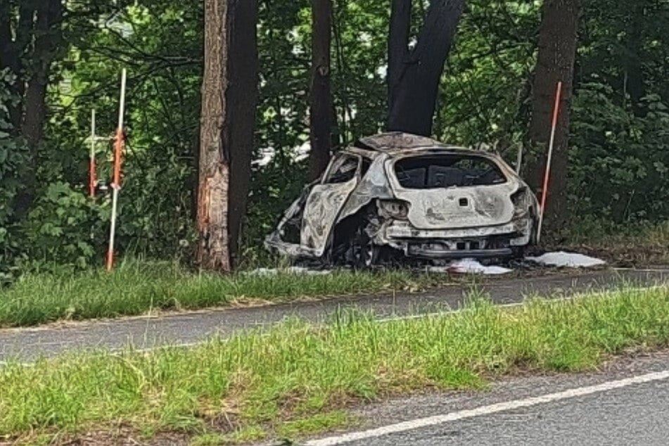 Auto kracht gegen Bäume und geht in Flammen auf! Fahrer stirbt noch am Unfallort