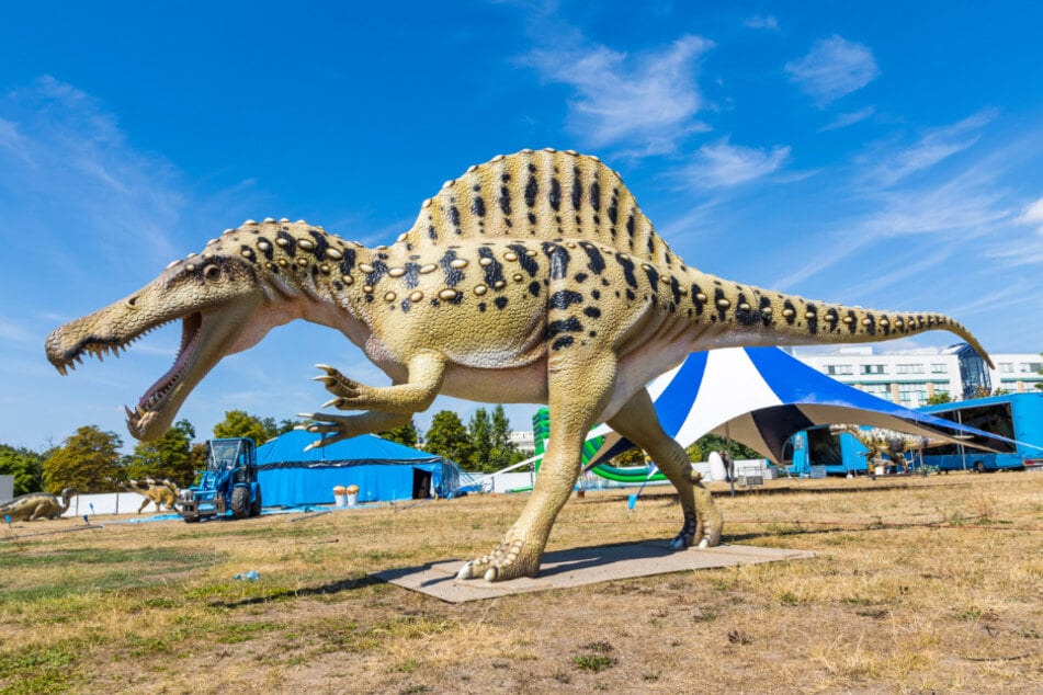 Hier gibt es über 70 verschiedene Dinosaurier zu sehen.