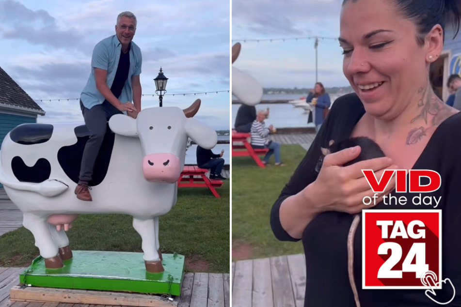 Today's Viral Video of the Day shows a man's quest to conquer a cow statue - with an unexpected turn!