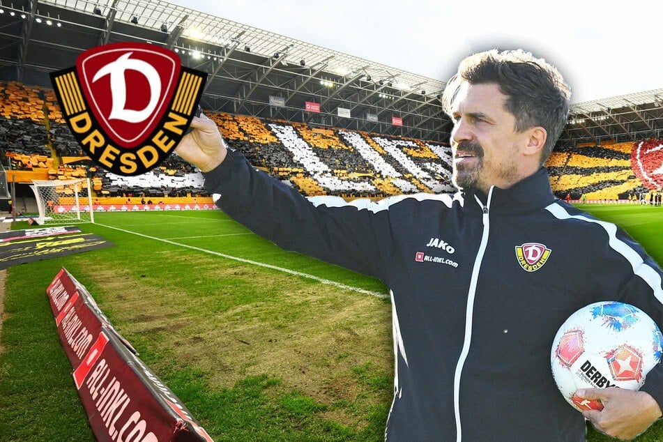 Dynamo jagt den ersten Heimsieg: In diesem Bereich will Stamm gegen Paderborn mehr sehen