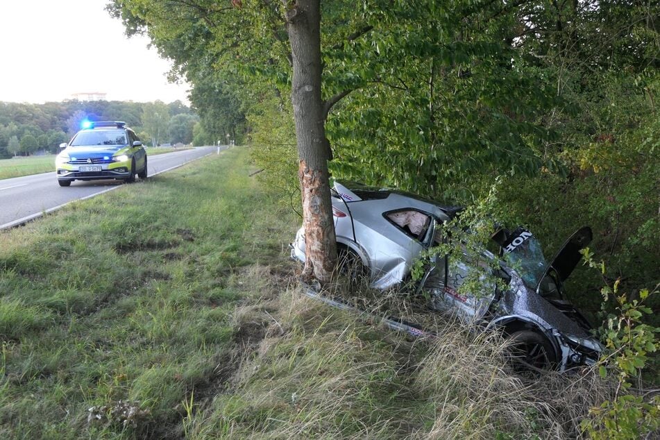 Der Honda Civic kollidierte mit einem Baum.