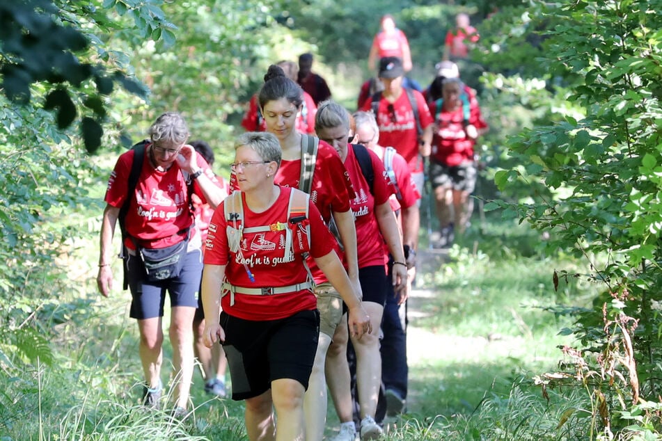 Der Forststeig gehörte zu den bislang schönsten Strecken des MOPO-Wandertages.