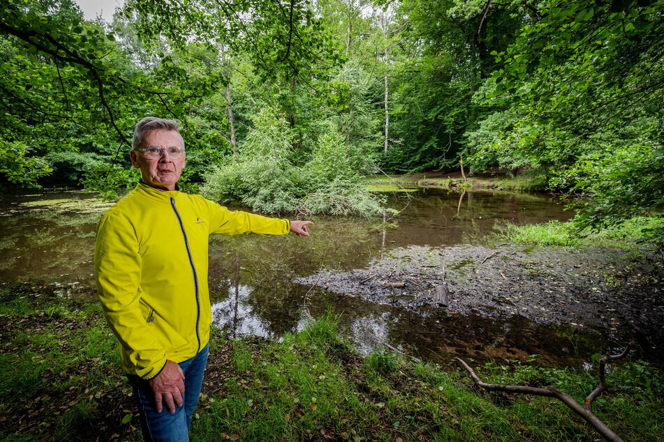 Der Zustand vieler Chemnitzer Teiche lässt zu wünschen übrig. Der Befund des Bürgers Frank Bihra (70) für den Blaubornteich im Zeisigwald sieht entsprechend düster aus.
