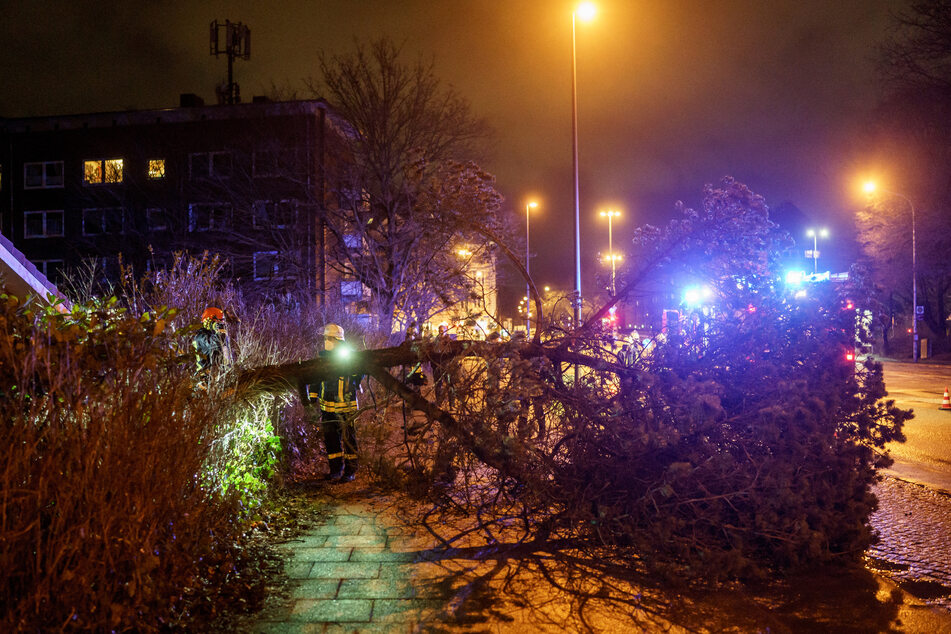 Einsatzkräfte räumen eine von umgeknickten Bäumen blockierte Straße.