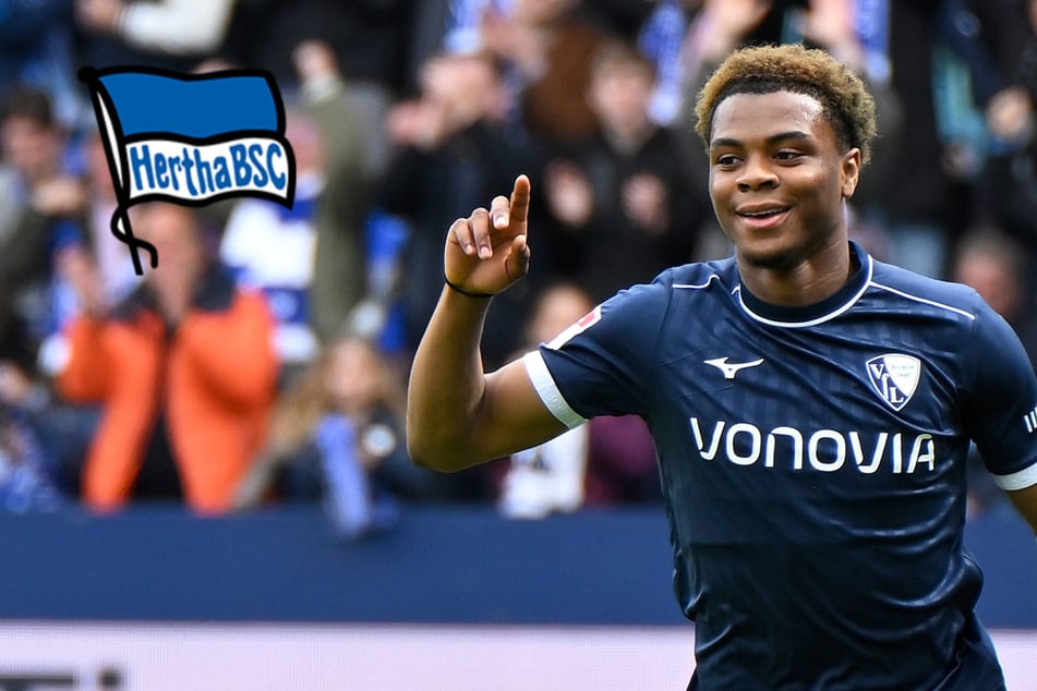 Hertha BSC: Diese kuriose Klausel macht Bayer-Rakete noch interessanter