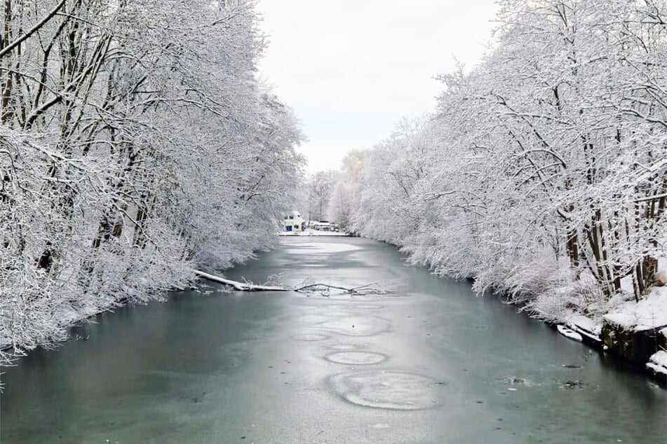 Viele Gewässer in Hamburg sind derzeit noch von einer dünnen Eisschicht bedeckt. Zu dünn, um diese sicher zu begehen. Gerade bei dem aktuell anhaltenden Tauwetter.