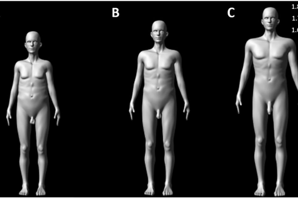 Aus diesen drei Grundtypen generierten die Wissenschaftler mithilfe eines Computers 343 verschiedene Varianten.