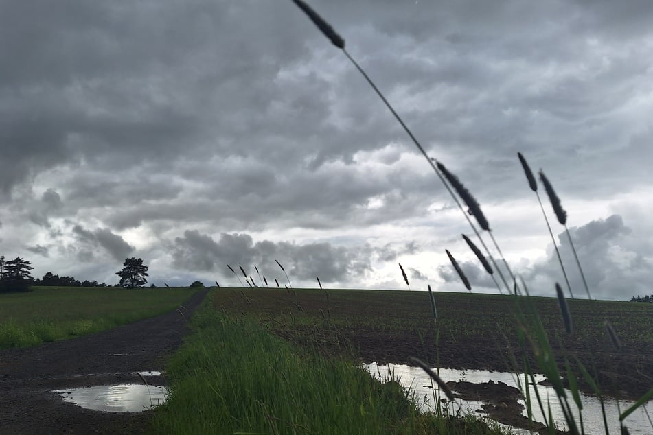 Dauerregen wird auch in Thüringen erwartet. (Symbolbild)