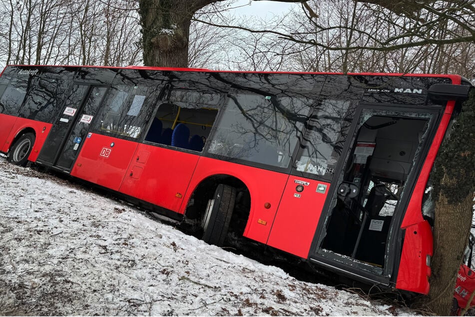 Der Schulbus kam alleinbeteiligt von der Straße ab.
