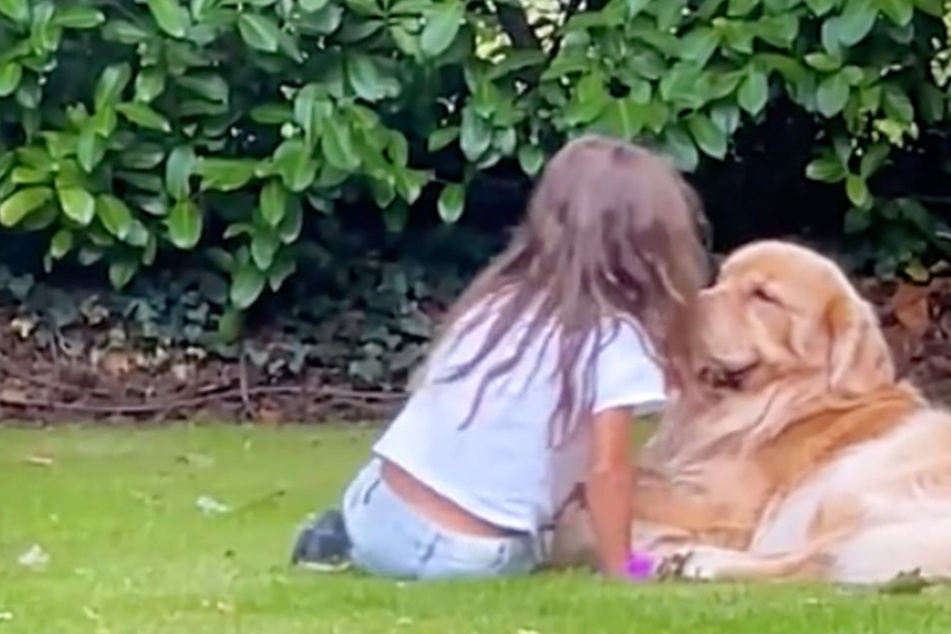 Dog's reaction to a sad little girl has the internet awestruck