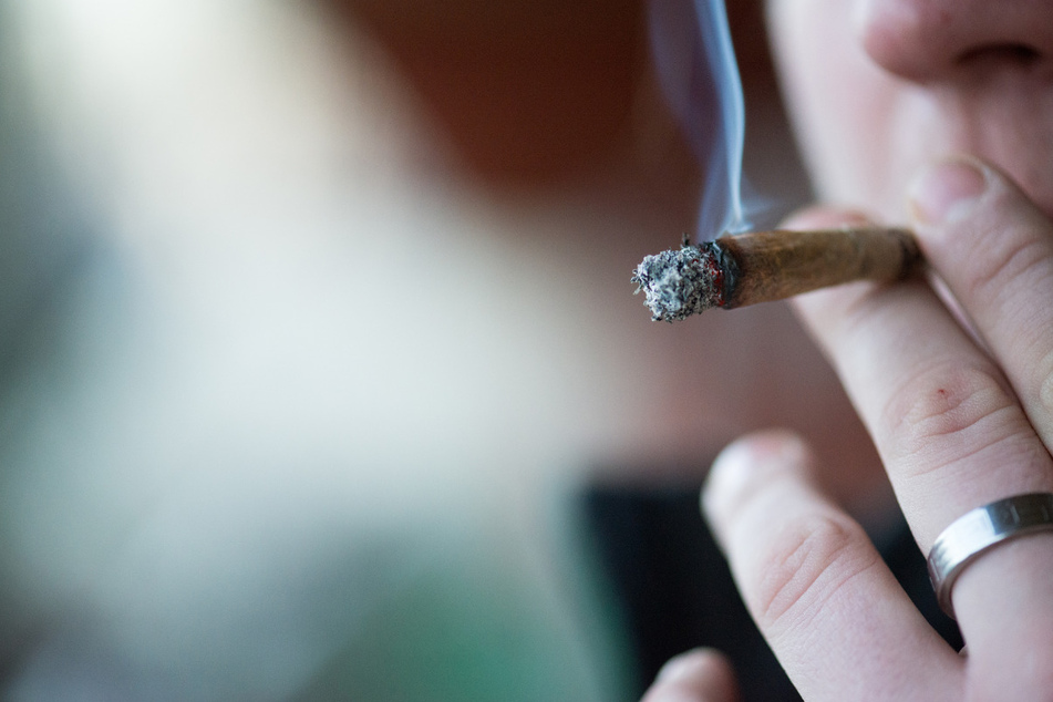 Nach Auszählung des überwiegenden Teils der Stimmen fielen diese für die Legalisierung von Marihuana aus.