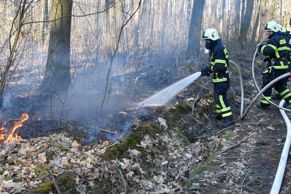 Chemnitz: Erste Wald- und Wiesenbrände in Chemnitz: Auch am Sonntag besteht erhöhte Brandgefahr
