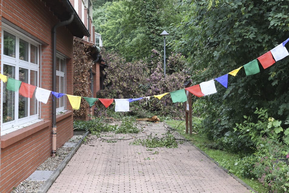 Ein Baum fiel auf das EInsiedler Gymnasium.