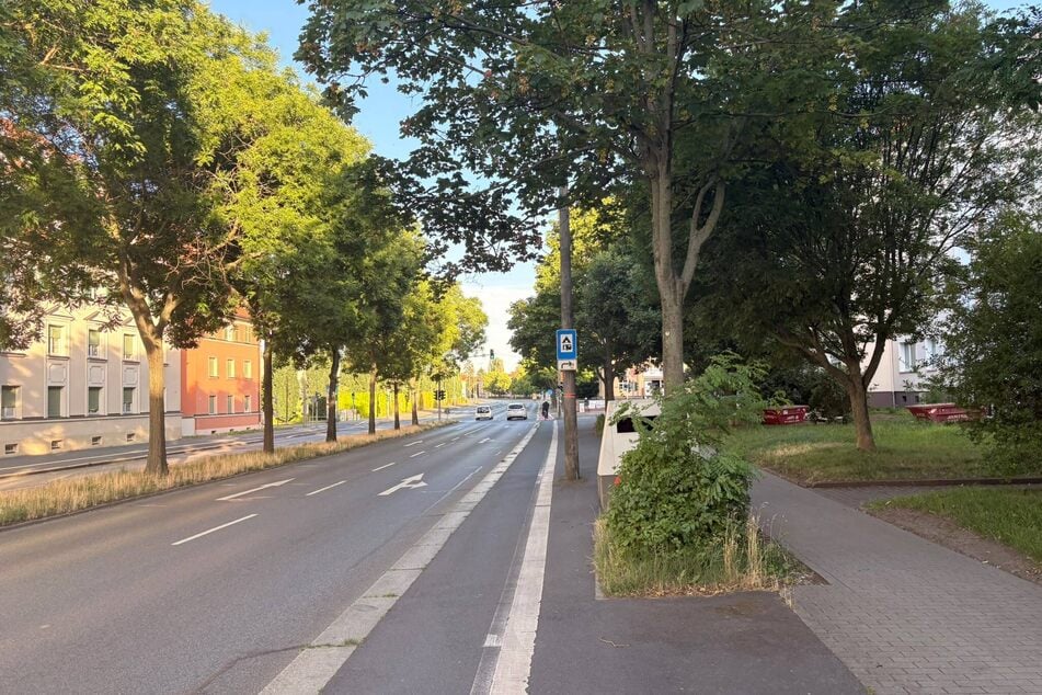 Hinter einem Gebüsch versteckt überwacht der Superblitzer, ob sich die Verkehrsteilnehmer an das Tempolimit halten.