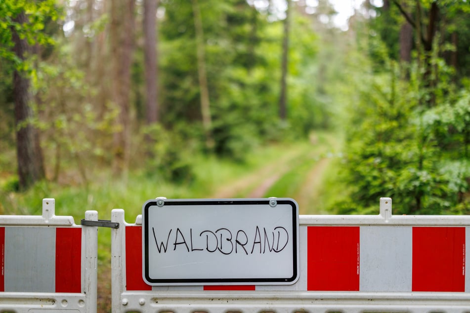 Hohe Waldbrandgefahr: In vielen Regionen Bayerns gilt nun die Warnstufe 4. (Symbolbild)