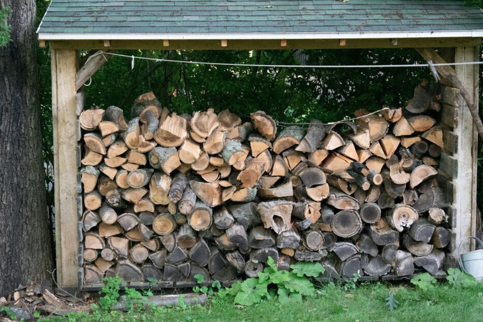 Die Holzarbeiten auf seinem Grundstück nahmen für den Rentner einen dramatischen Ausgang. (Symbolfoto)