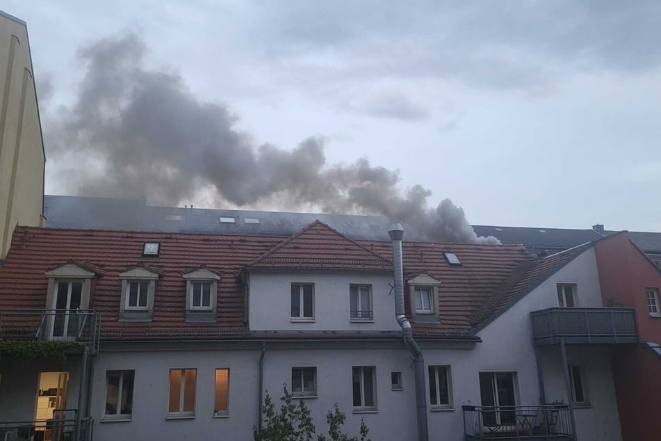 Von der Alaunstraße 12 aus breitete sich die Rauchwolke infolge eines Wohnungsbrandes in Richtung Alaunpark aus.