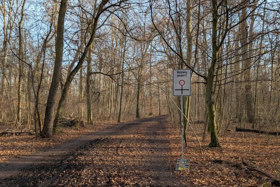 Mehrere Waldwege wie dieser unweit der Tierpension "Fürstenpfote" sind gesperrt.