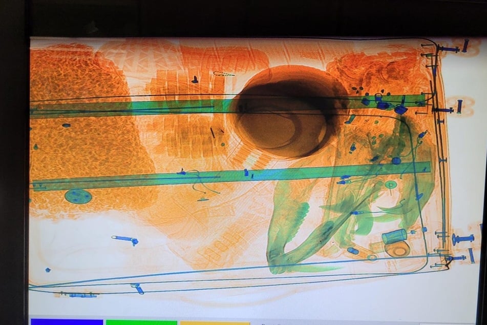 Schon die Röntgenbilder gaben den Zöllnern am Düsseldorfer Flughafen einen ersten Hinweis auf den Tierschädel.