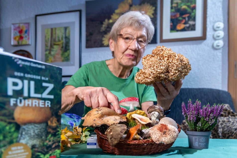 Pilze sind ihr Leben: Sieglinde Köhler kennt die guten und die giftigen.