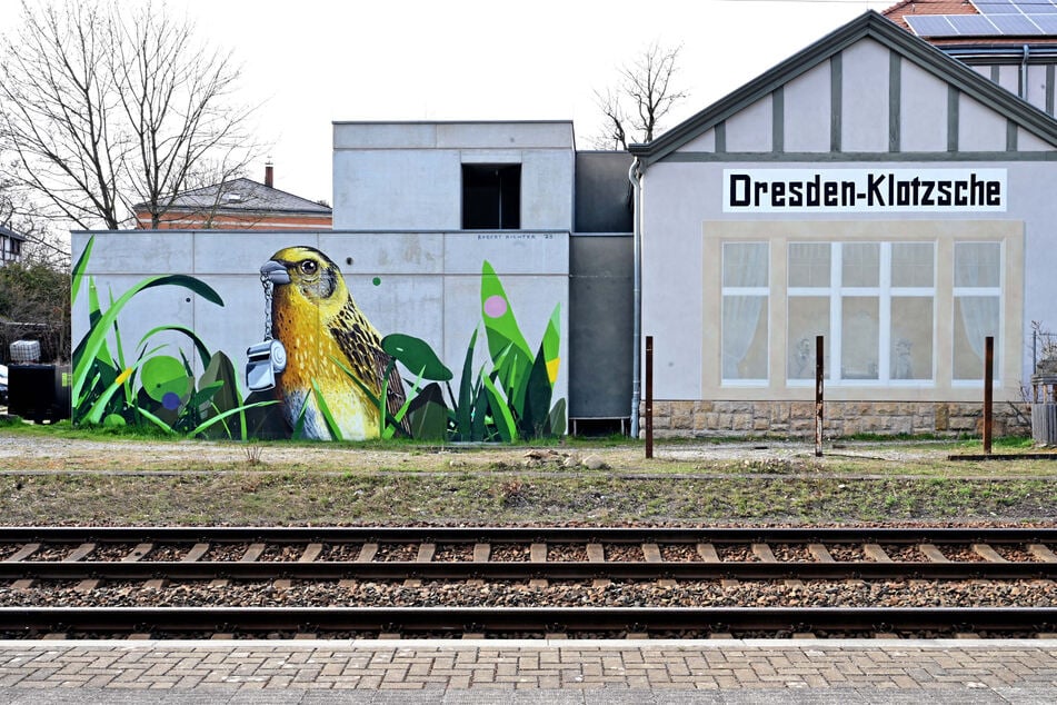 Auch am S-Bahnhof Klotzsche hat Robert Richter unübersehbar "zugeschlagen".