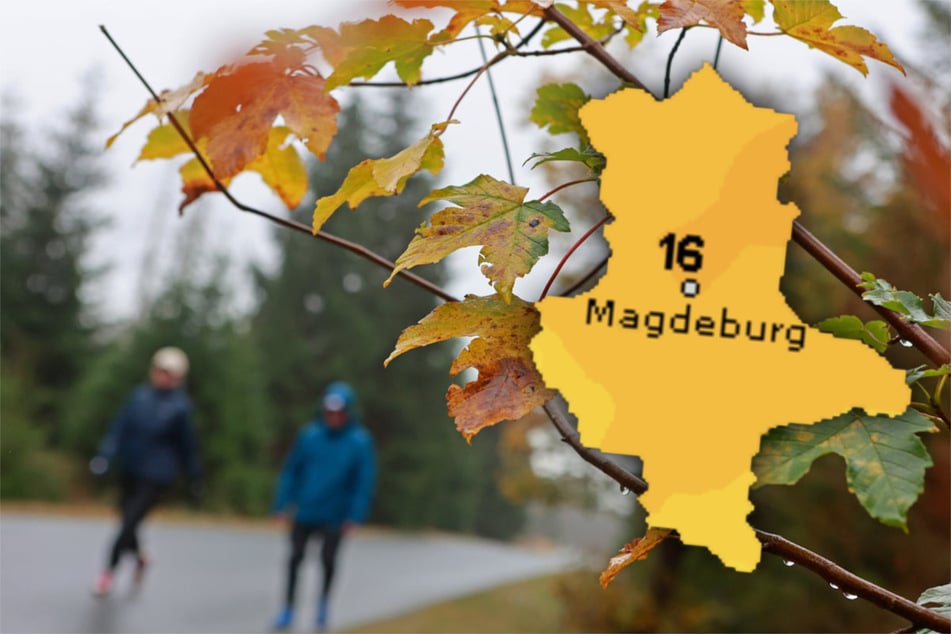 Graues Herbstwetter: In Sachsen-Anhalt kühlt es sich ab