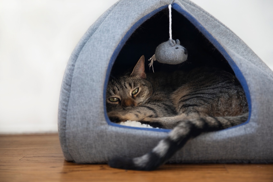 Eine Katzenhöhle als Katzenkörbchen ist vor allem für ängstliche und Ruhe bedürftige Katzen geeignet.