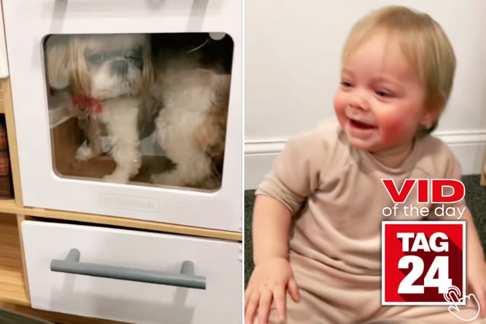 Today's Viral Video of the Day features a tiny baby who couldn't stop laughing after discovering a furry friend in an unexpected place!