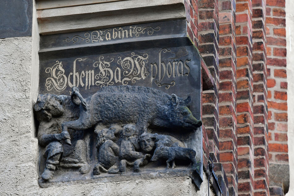 Eine als "Judensau" bezeichnete mittelalterliche Schmähskulptur ist an der Außenmauer der Stadtkirche Sankt Marien in Wittenberg zu sehen.