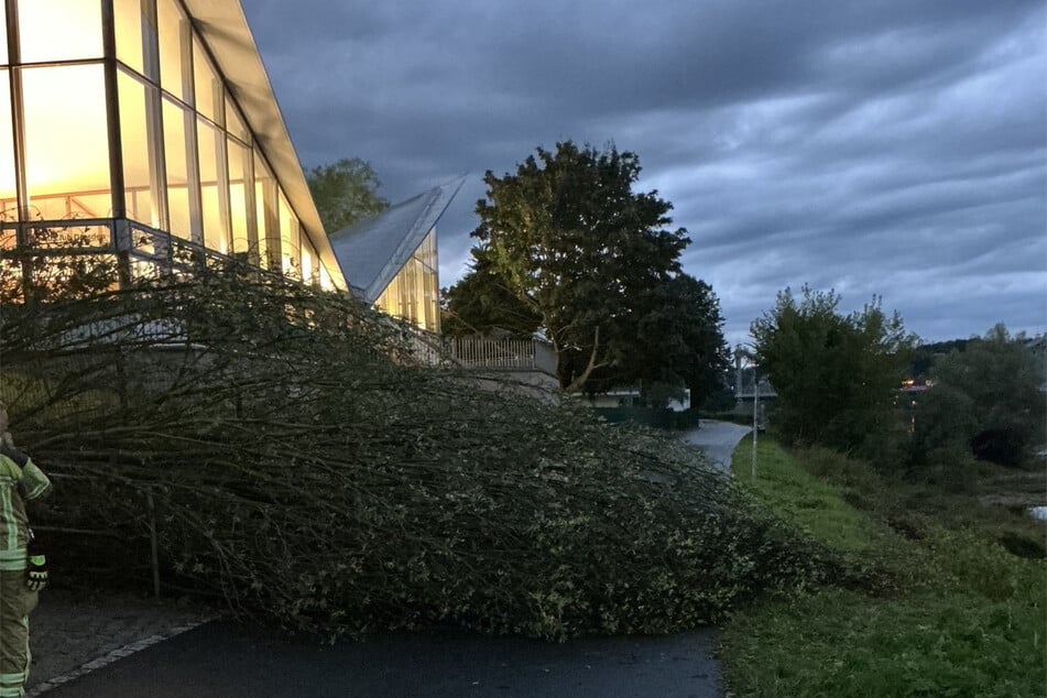 In zahlreichen Orten Sachsens stürzten Bäume auf Straßen und Gehwege.