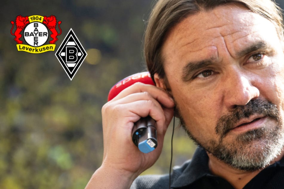 Gladbach-Trainer Farke bedauert Leverkusens EL-Aus: "Sieger der Herzen"