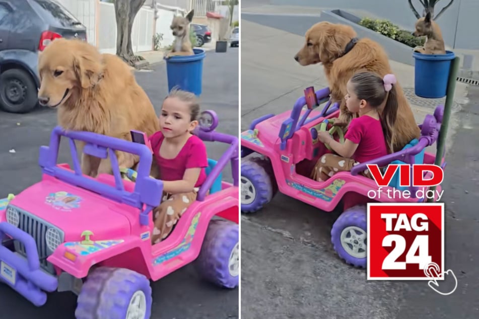 viral videos: Viral Video of the Day for April 1, 2026: Little girl drives around town in Barbie car with her dogs in tow