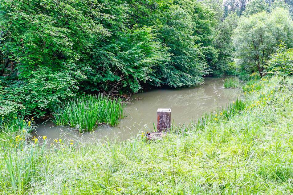 Beim Fundort handelt es sich um einen Angelteich im Ranntal.