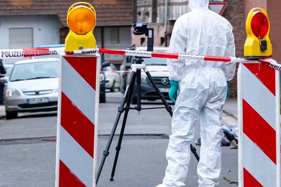 Messerattacke: Frau wird niedergestochen, während sie Blume fotografiert