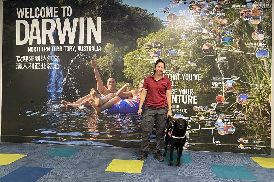 Zinta, who sniffed out the McMuffins, is seen with their handler at Darwin Airport in Northern Territory, Australia.