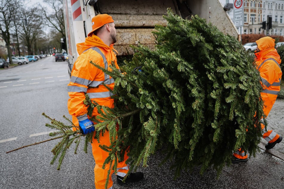 Spätestens am 24. Januar sollen die restlichen Weihnachtsbäume in Hamburg verschwunden sein. (Archivbild)